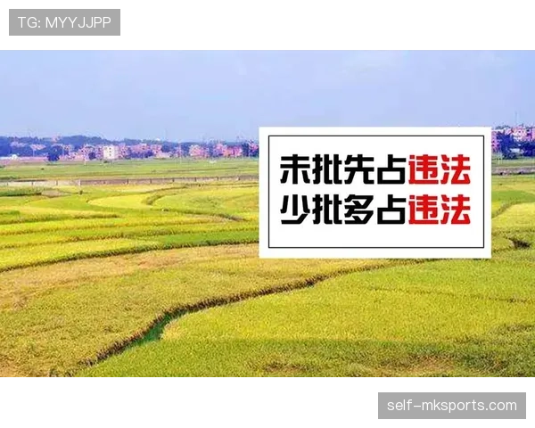 技术区规则详解：裁判如何判定违规行为与处罚标准